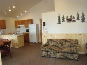 Cabin 9 Living Room Kitchen